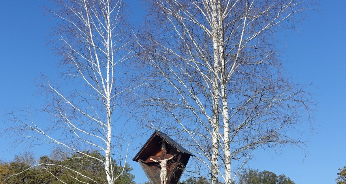Ein Kruzifix steht zwischen zwei kahlen Birken auf einer grünen Wiese unter klarem, blauem Himmel., © Foto: Cornelia Steinbach