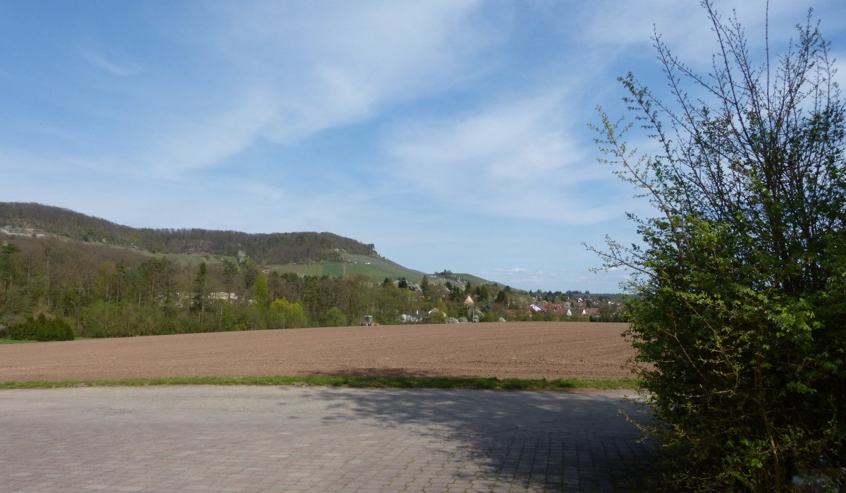 Weitläufige Landschaft mit Feldern, Bäumen und Hügeln unter blauem Himmel. Ein gepflasterter Weg im Vordergrund, rechts ein Busch., © Land der 1000 Hügel - Kraichgau-Stromberg Weitläufige Landschaft mit Feldern, Bäumen und Hügeln unter blauem Himmel. Ein gepflasterter Weg im Vordergrund, rechts ein Busch., © Land der 1000 Hügel - Kraichgau-Stromberg