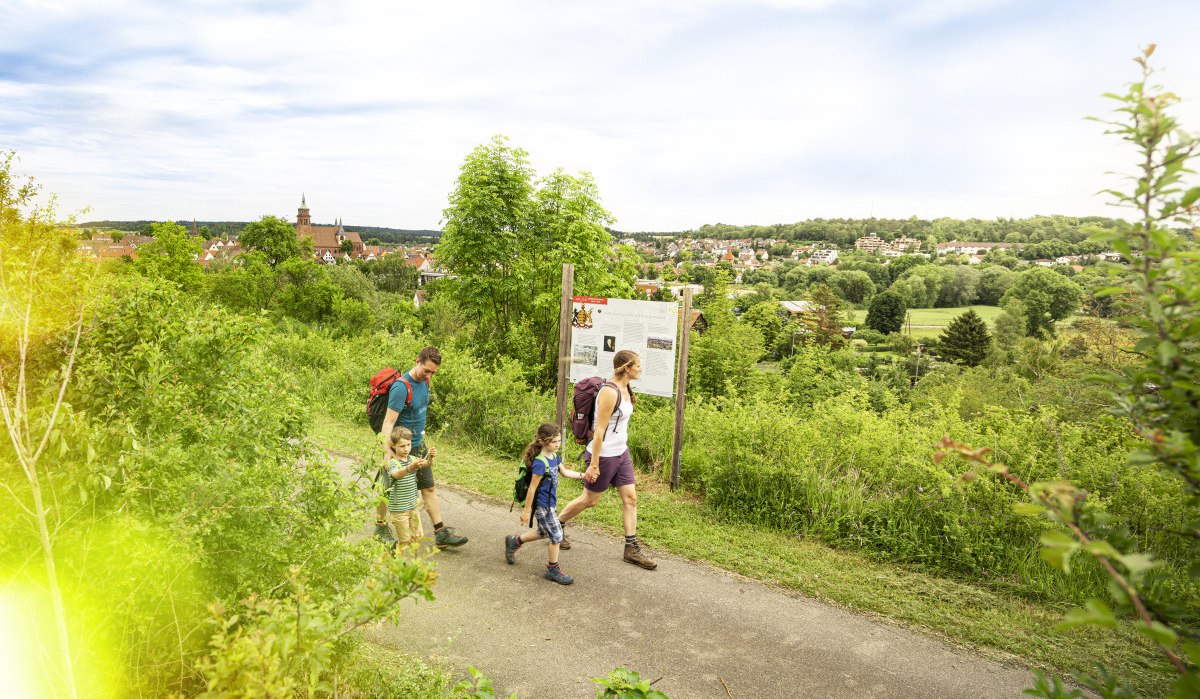 Eine Familie wandert auf einem Weg, vorbei an einer Informationstafel. Im Hintergrund ist eine Stadt mit Kirche und grüner Landschaft zu sehen., © Markus Born Eine Familie wandert auf einem Weg, vorbei an einer Informationstafel. Im Hintergrund ist eine Stadt mit Kirche und grüner Landschaft zu sehen., © Markus Born