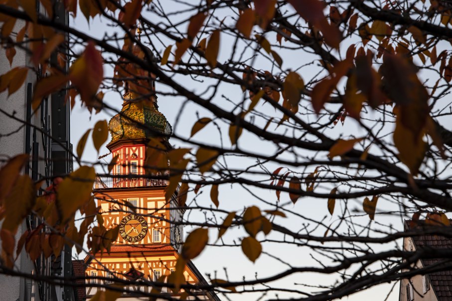 Ein Turm mit einer Uhr ist durch herbstliche Bl&auml;tter hindurch sichtbar. Die Bl&auml;tter sind orange und gelb gef&auml;rbt, was auf den Herbst hinweist., &copy; Torsten Wenzler