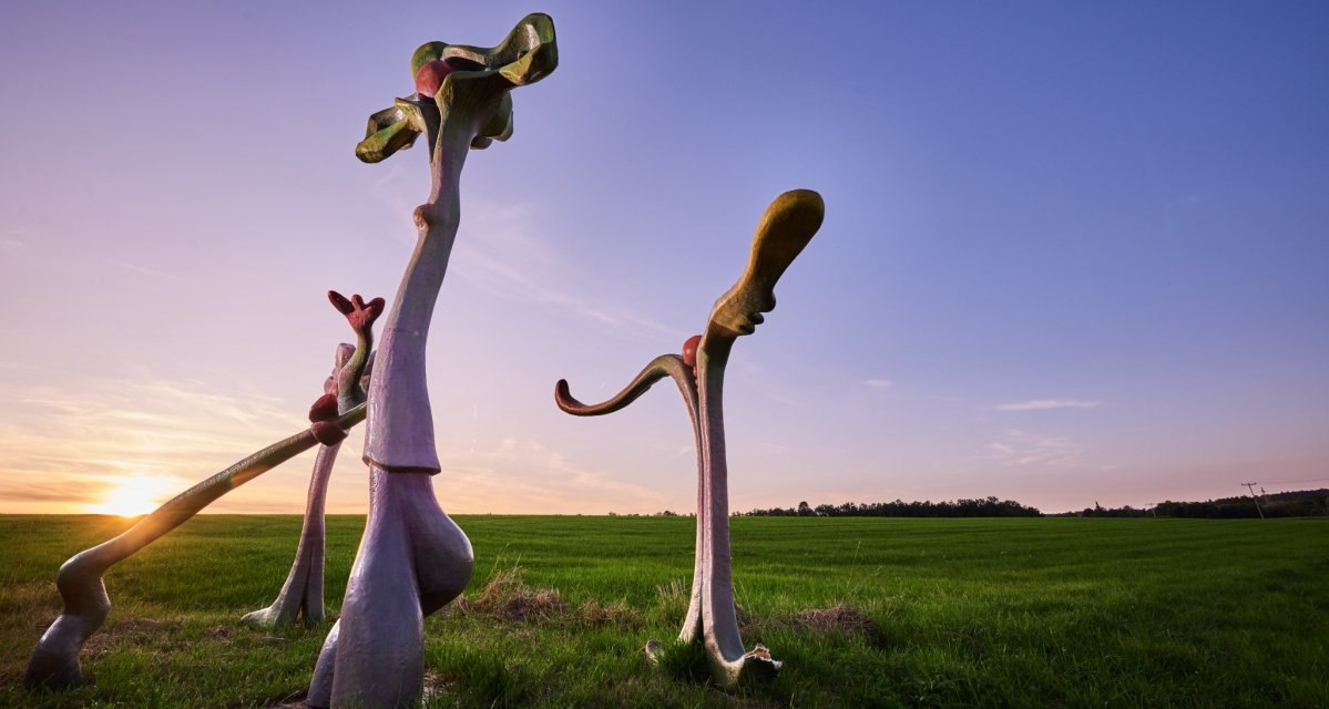 Hans Bäuerle - Einsam bin ich nicht allein, © Natur.Nah. Schönbuch & Heckengäu Hans Bäuerle - Einsam bin ich nicht allein, © Natur.Nah. Schönbuch & Heckengäu