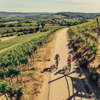 Weins&uuml;den Weinort Brackenheim am W&uuml;rttemberger Weinradweg | HeilbronnerLand, &copy; Touristikgemeinschaft HeilbronnerLand