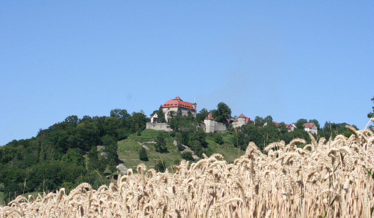 Burg und Schloss Stetten auf einem bewaldeten Hügel, umgeben von Bäumen. Im Vordergrund ein Weizenfeld unter klarem, blauem Himmel., © Touristikgemeinschaft Hohenlohe, Künzelsau / Marion Schlund Burg und Schloss Stetten auf einem bewaldeten Hügel, umgeben von Bäumen. Im Vordergrund ein Weizenfeld unter klarem, blauem Himmel., © Touristikgemeinschaft Hohenlohe, Künzelsau / Marion Schlund