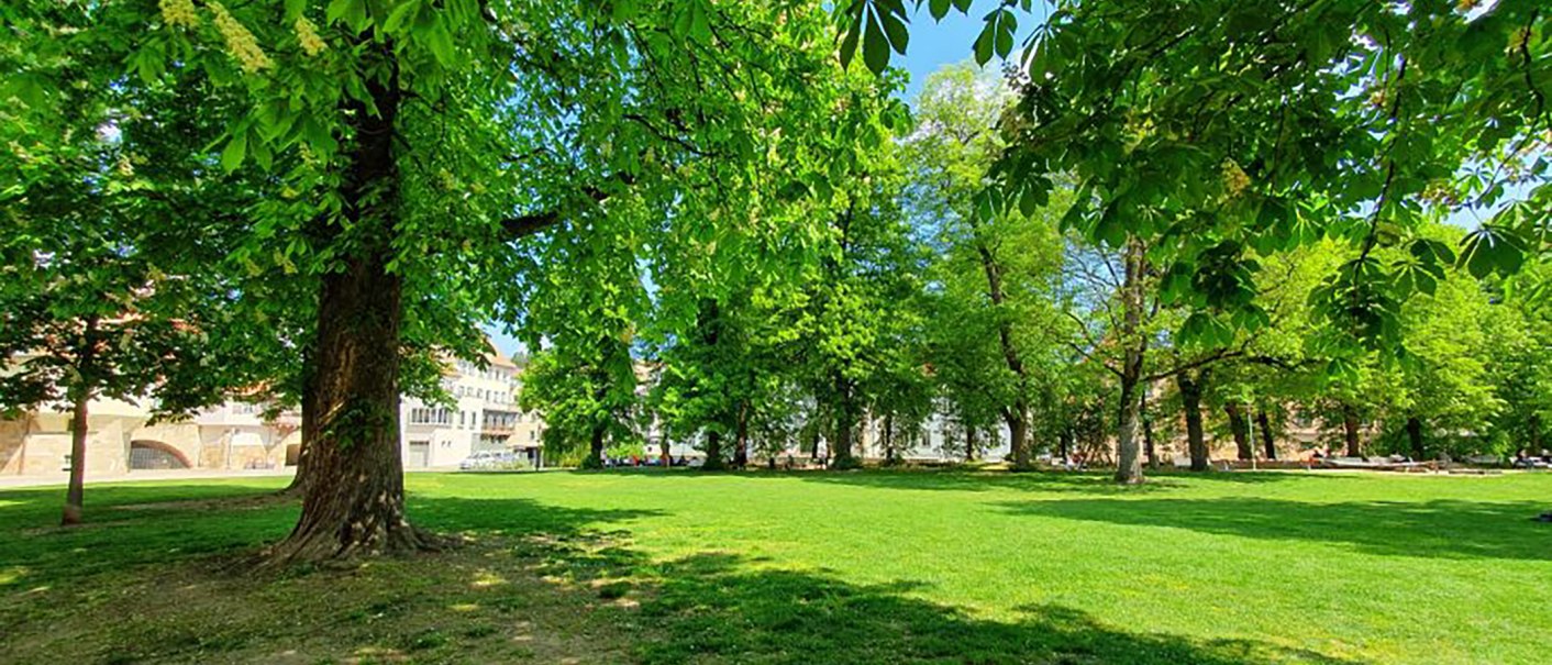 Grüne Parklandschaft in Esslingen am Neckar mit üppigen Bäumen und gepflegtem Rasen unter blauem Himmel., © Esslinger Stadtmarketing & Tourismus GmbH