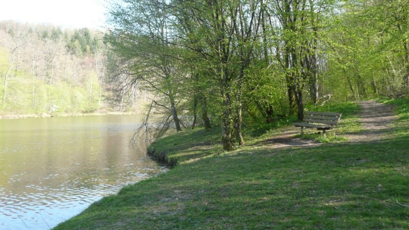 Ein ruhiger See mit gr&uuml;nen B&auml;umen am Ufer. Ein Pfad f&uuml;hrt zu einer Bank, die zum Verweilen einl&auml;dt., &copy; Natur.Nah. Sch&ouml;nbuch & Heckeng&auml;u