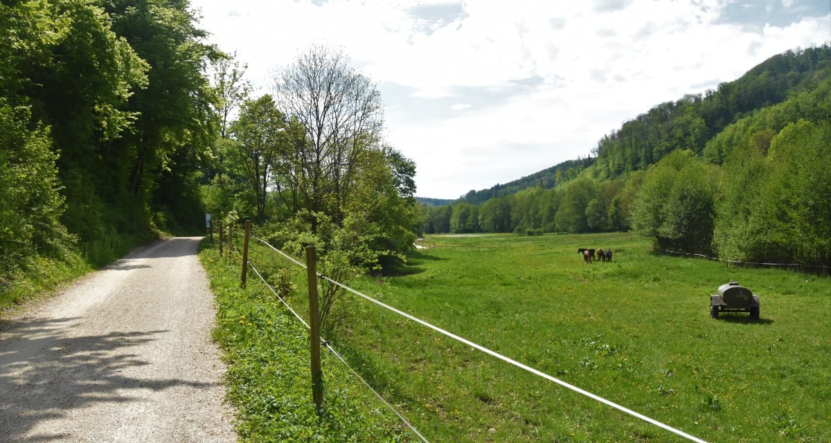 Ein Feldweg führt durch eine grüne Landschaft mit Wiesen und Bäumen. Im Hintergrund grasen Pferde auf der Wiese., © Ev. Kirchenbezirk Schorndorf Ein Feldweg führt durch eine grüne Landschaft mit Wiesen und Bäumen. Im Hintergrund grasen Pferde auf der Wiese., © Ev. Kirchenbezirk Schorndorf