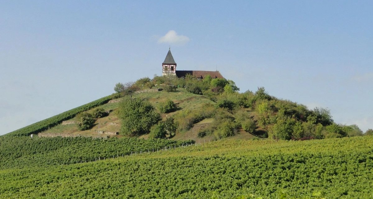 CB1 Wanderdreiklang Cleebronn | Wanderdreiklang | Blick auf den Michaelsberg mit Michaelskirche, © Neckar-Zaber-Tourismus e.V. CB1 Wanderdreiklang Cleebronn | Wanderdreiklang | Blick auf den Michaelsberg mit Michaelskirche, © Neckar-Zaber-Tourismus e.V.