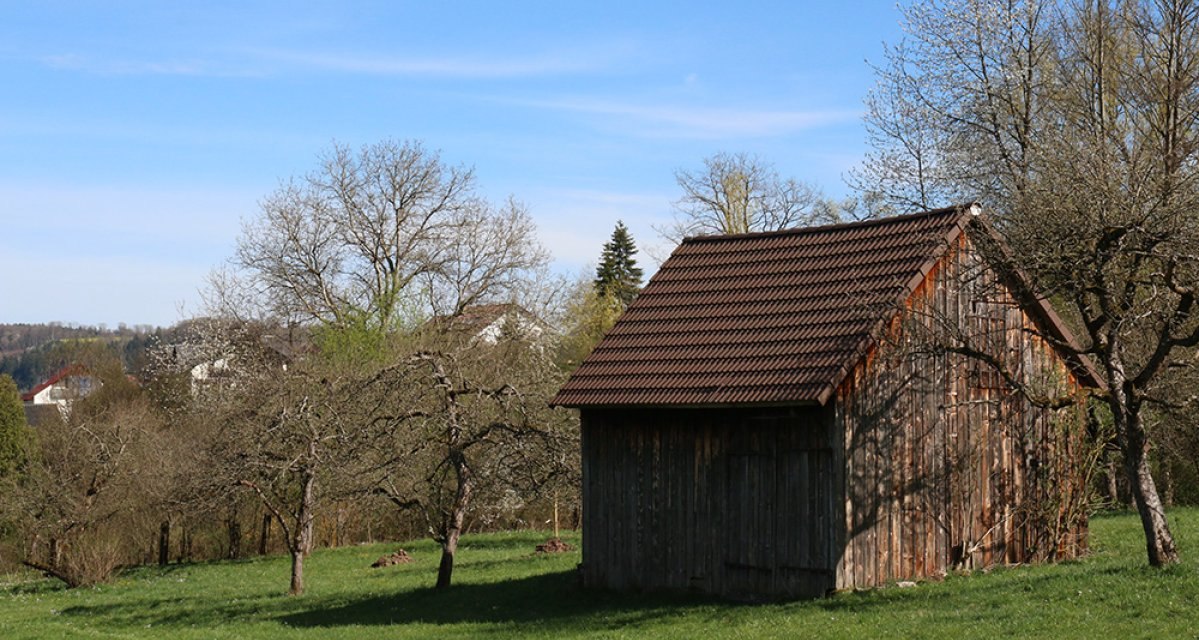 Feldscheune auf grüner Wiese, umgeben von blühenden Bäumen und blauem Himmel in Gaildorf. Feldscheune auf grüner Wiese, umgeben von blühenden Bäumen und blauem Himmel in Gaildorf.