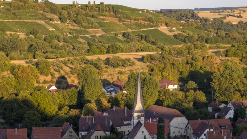 Weinberge erstrecken sich über Hügel, im Vordergrund ein Dorf mit Kirchturm. Die Landschaft ist grün und von Bäumen umgeben., © SMG Mende