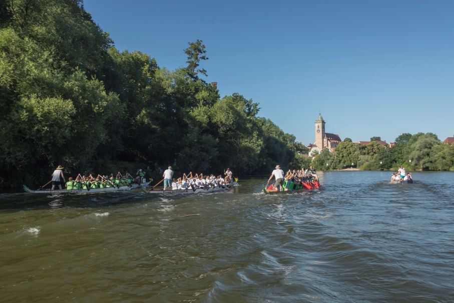 Drachenbootrennen auf einem Fluss, Teams in bunten Trikots paddeln. Im Hintergrund Bäume und ein Kirchturm unter klarem Himmel., © Gisbert Zahn