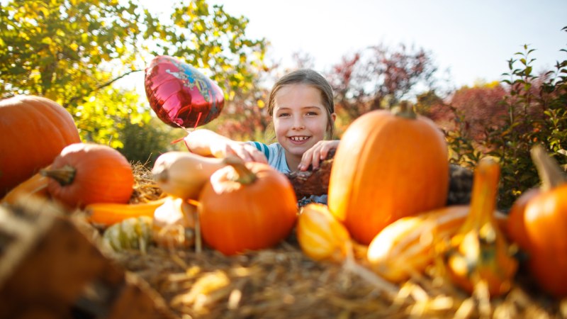 Ein Kind lächelt hinter einer Ansammlung von Kürbissen im Freien. Ein roter Ballon ist im Hintergrund zu sehen., © Erlebnispark Tripsdrill Ein Kind lächelt hinter einer Ansammlung von Kürbissen im Freien. Ein roter Ballon ist im Hintergrund zu sehen., © Erlebnispark Tripsdrill