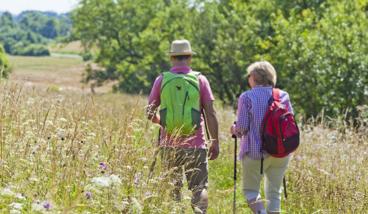 Zwei Personen mit Rucksäcken wandern auf einem Feldweg durch eine grüne Landschaft mit hohen Gräsern und Bäumen., © 3B-Tourismus Zwei Personen mit Rucksäcken wandern auf einem Feldweg durch eine grüne Landschaft mit hohen Gräsern und Bäumen., © 3B-Tourismus