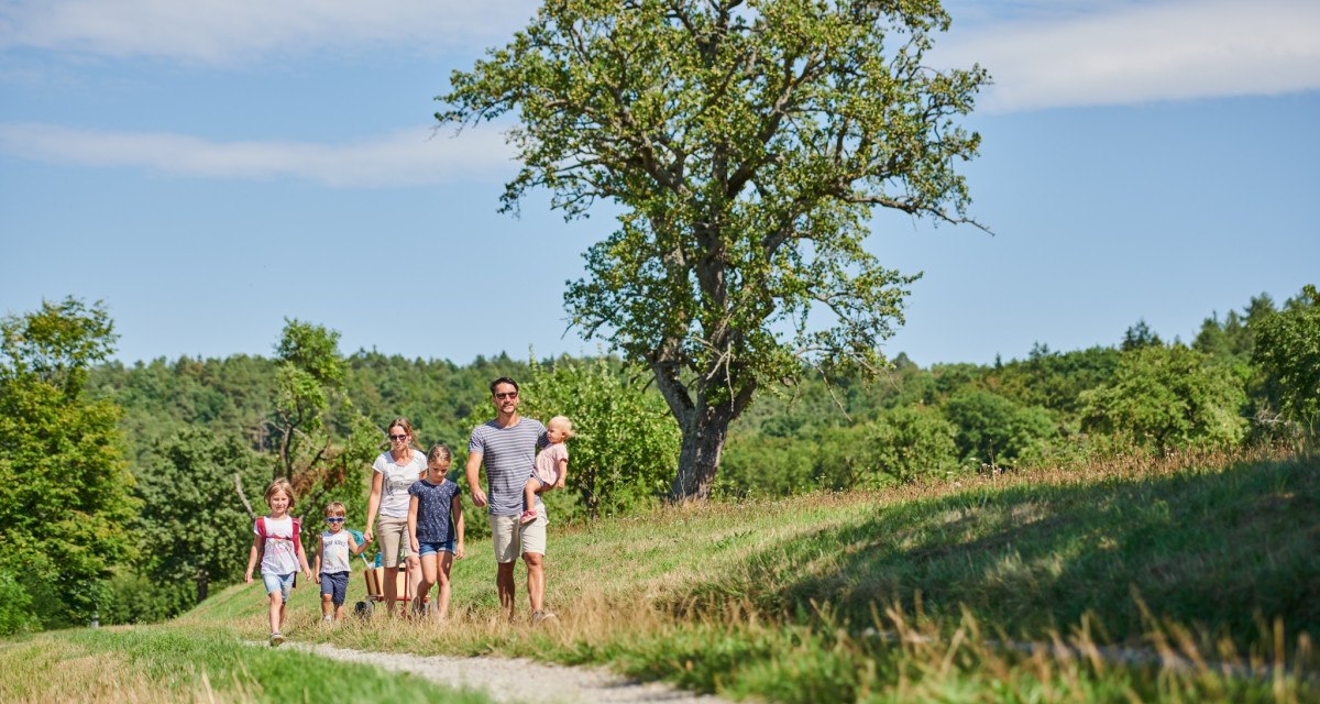 Eine Familie spaziert auf einem Feldweg durch eine grüne Landschaft. Ein großer Baum steht im Hintergrund, der Himmel ist blau mit wenigen Wolken., © Natur.Nah. Schönbuch & Heckengäu Eine Familie spaziert auf einem Feldweg durch eine grüne Landschaft. Ein großer Baum steht im Hintergrund, der Himmel ist blau mit wenigen Wolken., © Natur.Nah. Schönbuch & Heckengäu