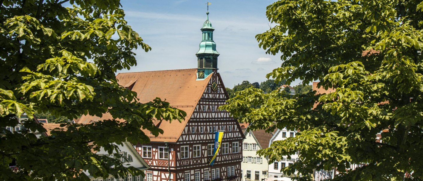 Das Fachwerk-Rathaus von Backnang ragt zwischen gr&uuml;nen B&auml;umen hervor. Der Turm mit Uhr und Wetterfahne ist gut sichtbar., &copy; SMG, Sarah Schmid