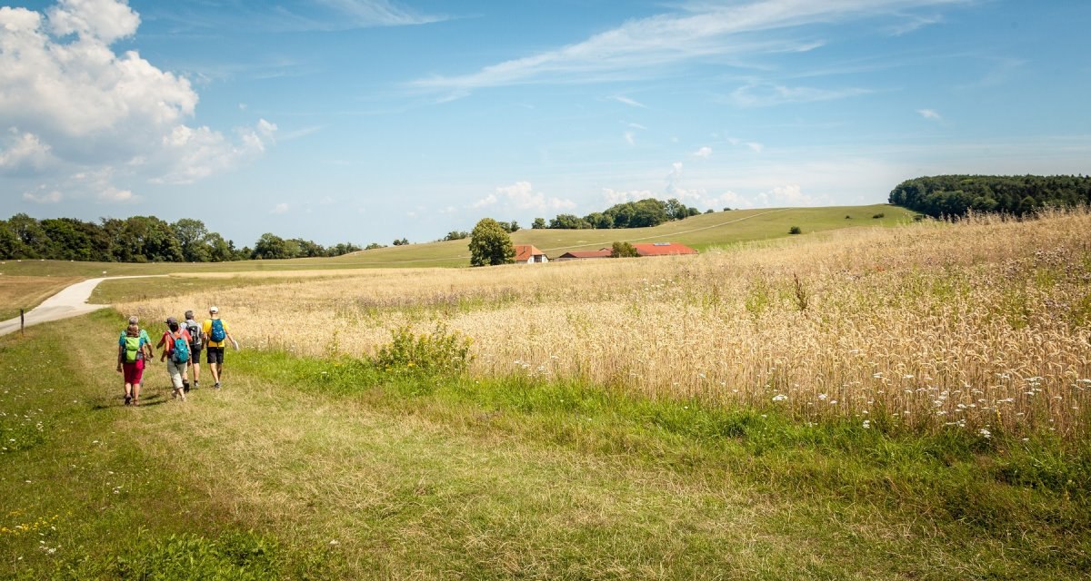 Vier Wanderer gehen auf einem Feldweg durch eine ländliche Landschaft mit Wiesen und einem klaren blauen Himmel., © hochgehberge Vier Wanderer gehen auf einem Feldweg durch eine ländliche Landschaft mit Wiesen und einem klaren blauen Himmel., © hochgehberge