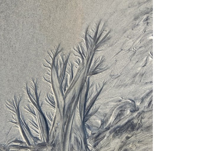 Detailaufnahme von Sandmustern, die an B&auml;ume erinnern. Die Strukturen wirken organisch und verzweigt., &copy; PlochingenInfo