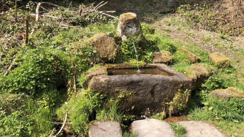 Steinerner Brunnen im Wald mit flie&szlig;endem Wasser, umgeben von gr&uuml;ner Vegetation und Moos., &copy; N&ouml;rdlicher Schwarzwald