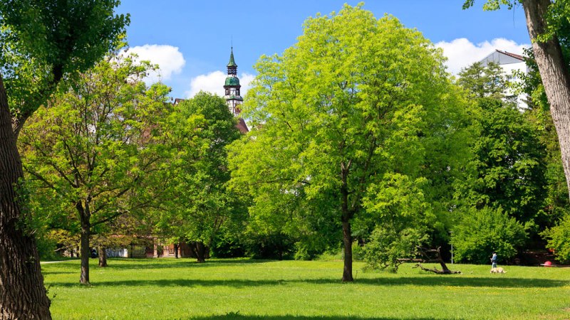 Grüne Wiese mit Bäumen, im Hintergrund ein Kirchturm. Eine Person mit Hund spaziert im Park. Blauer Himmel mit weißen Wolken., © WTM GmbH Fotograf Kai Koepf Grüne Wiese mit Bäumen, im Hintergrund ein Kirchturm. Eine Person mit Hund spaziert im Park. Blauer Himmel mit weißen Wolken., © WTM GmbH Fotograf Kai Koepf
