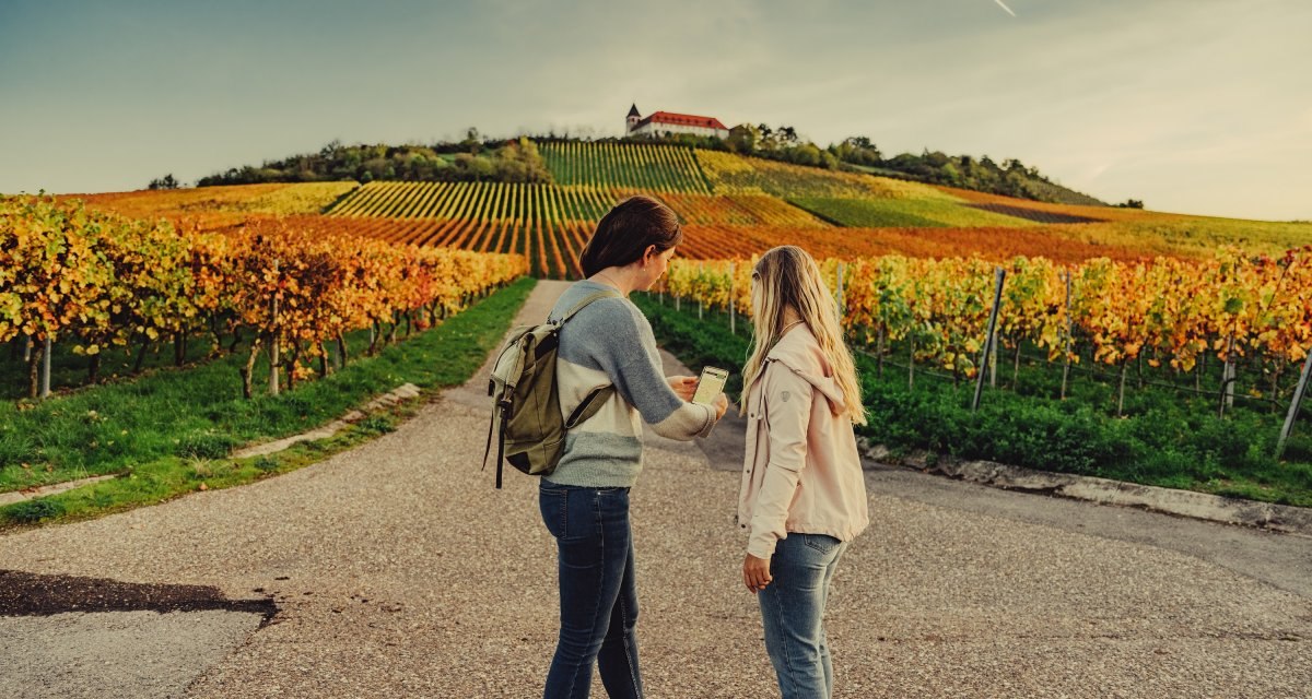 Unterwegs am Michaelsberg | Cleebronn, &copy; Touristikgemeinschaft HeilbronnerLand e.V.