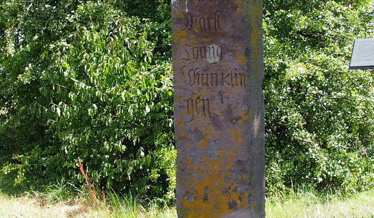 Ein alter Grenzstein mit verwitterter Inschrift steht auf einer Wiese, umgeben von Bäumen und Gras., © Natur.Nah. Schönbuch & Heckengäu Ein alter Grenzstein mit verwitterter Inschrift steht auf einer Wiese, umgeben von Bäumen und Gras., © Natur.Nah. Schönbuch & Heckengäu