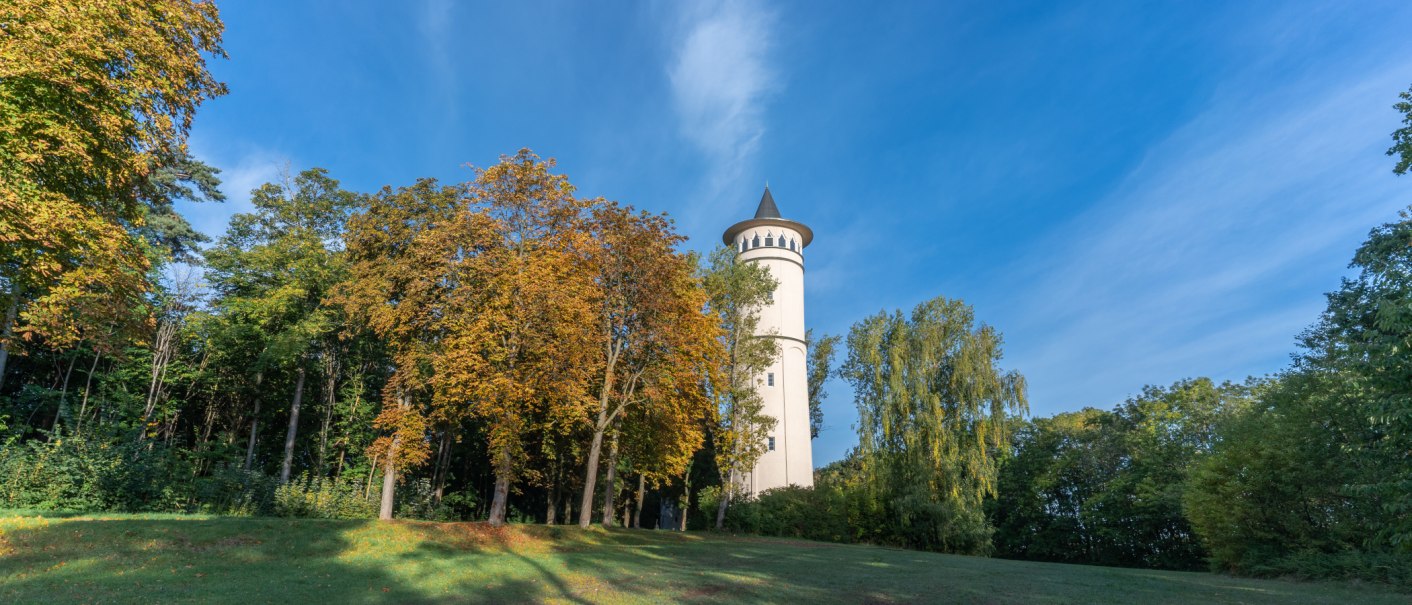 Der Engelbergturm in Leonberg erhebt sich hinter herbstlich gefärbten Bäumen unter einem klaren blauen Himmel., © SMG, Martina Denker Der Engelbergturm in Leonberg erhebt sich hinter herbstlich gefärbten Bäumen unter einem klaren blauen Himmel., © SMG, Martina Denker