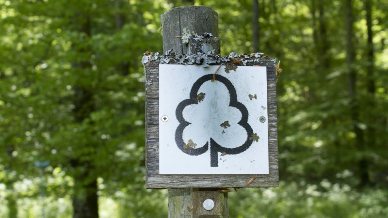 Holzpfosten mit Schild, das ein stilisiertes Baum-Symbol zeigt, umgeben von grünem Wald., © Natur.Nah. Schönbuch & Heckengäu Holzpfosten mit Schild, das ein stilisiertes Baum-Symbol zeigt, umgeben von grünem Wald., © Natur.Nah. Schönbuch & Heckengäu