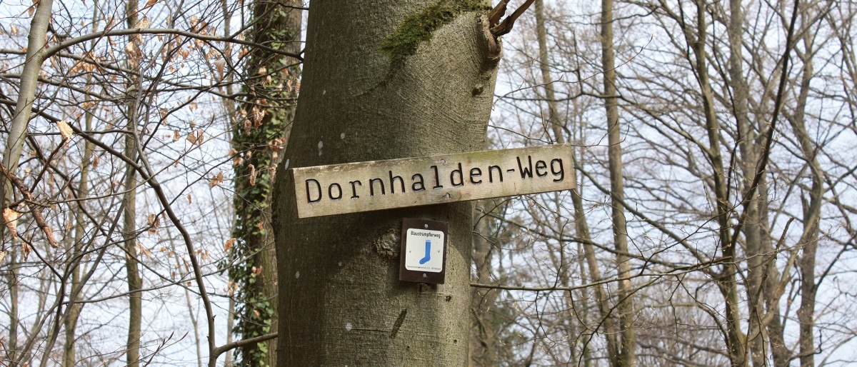 Holzschild 'Dornhalden-Weg' an einem Baum im winterlichen Wald befestigt., © Stuttgart-Marketing GmbH Holzschild 'Dornhalden-Weg' an einem Baum im winterlichen Wald befestigt., © Stuttgart-Marketing GmbH