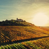 Michaelsberg im herbstlichen Sonnenlicht, © Touristikgemeinschaft HeilbronnerLand e.V. Michaelsberg im herbstlichen Sonnenlicht, © Touristikgemeinschaft HeilbronnerLand e.V.