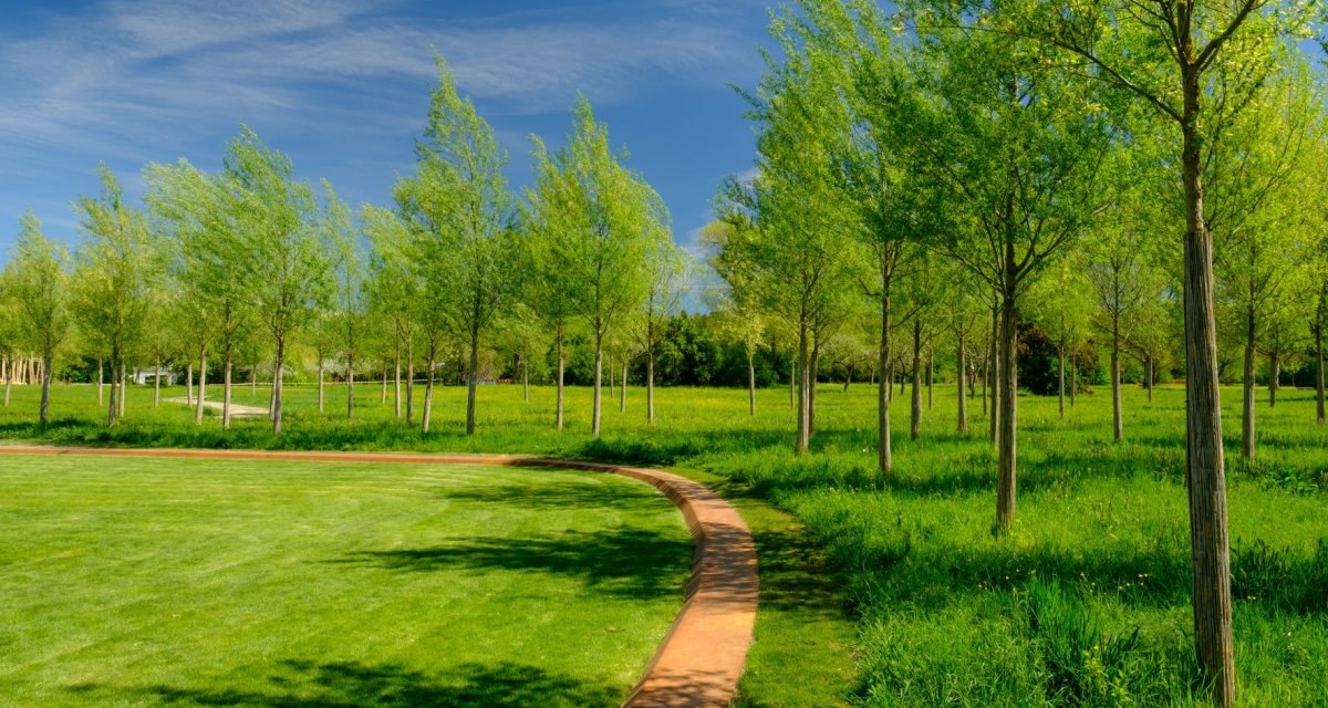 Ein gepflegter Park mit jungen Bäumen, grünem Rasen und einem geschwungenen Weg unter blauem Himmel., © WTM GmbH Waiblingen Ein gepflegter Park mit jungen Bäumen, grünem Rasen und einem geschwungenen Weg unter blauem Himmel., © WTM GmbH Waiblingen