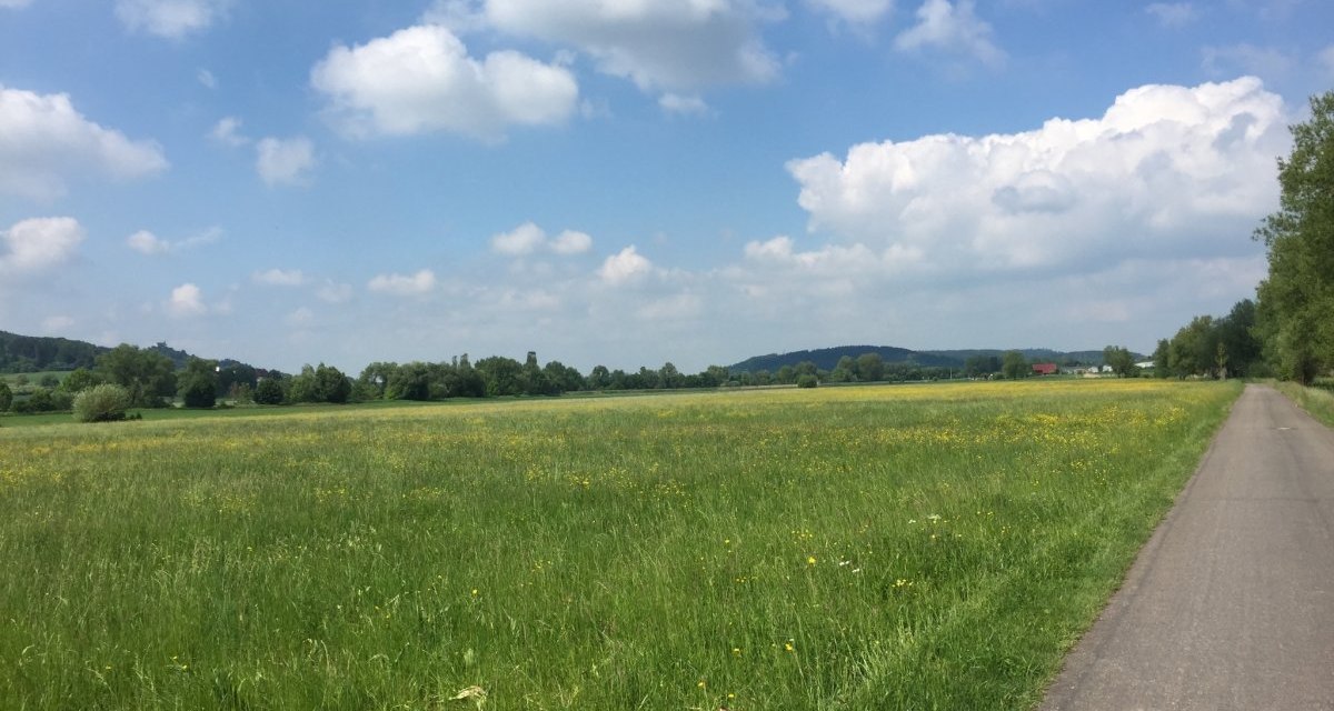 Ein Radweg verläuft durch eine weite, grüne Wiese unter einem blauen Himmel mit weißen Wolken., © www.pro-cycl.de Ein Radweg verläuft durch eine weite, grüne Wiese unter einem blauen Himmel mit weißen Wolken., © www.pro-cycl.de