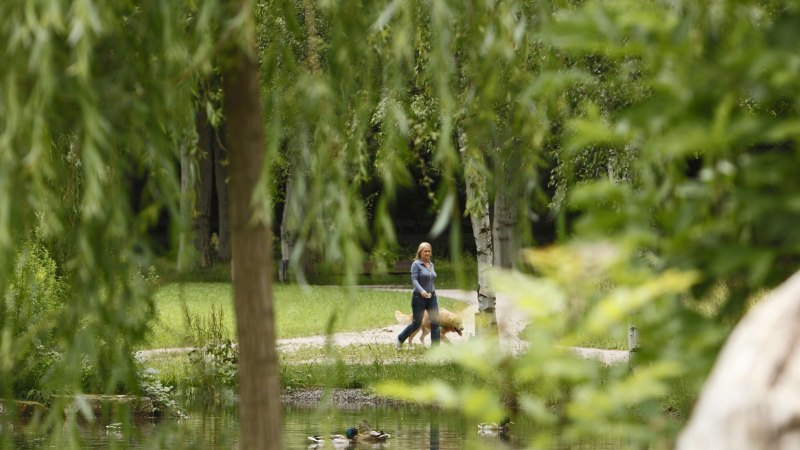 Eine Frau spaziert mit einem Hund im Schlossgarten Stuttgart. Im Vordergrund sind Bäume und ein Teich mit Enten zu sehen., © Stuttgart-Marketing GmbH, Christoph Düpper