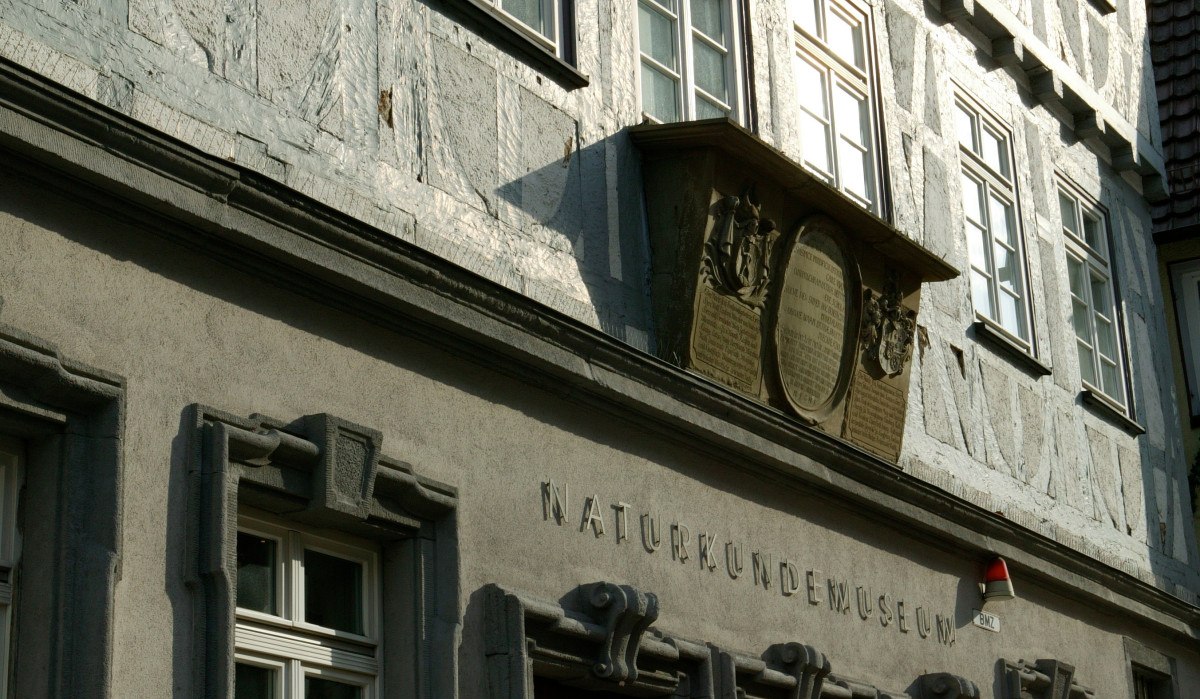 Fassade des Naturkundemuseums Reutlingen mit dekorativen Fenstern und Holztüren, beschriftet mit 'Naturkundemuseum'., © Sphäre Verlag