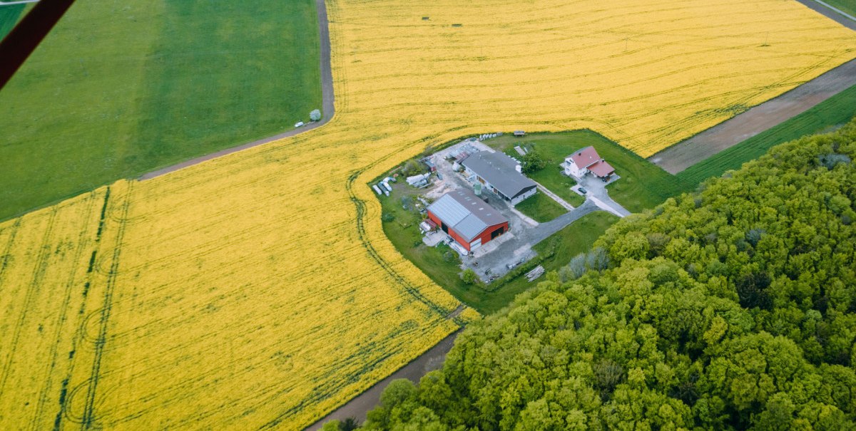 Luftaufnahme eines Bauernhofs inmitten gelber Felder, umgeben von grünen Wäldern und Wiesen. Gebäude und Wege sind deutlich sichtbar., © Waldhof