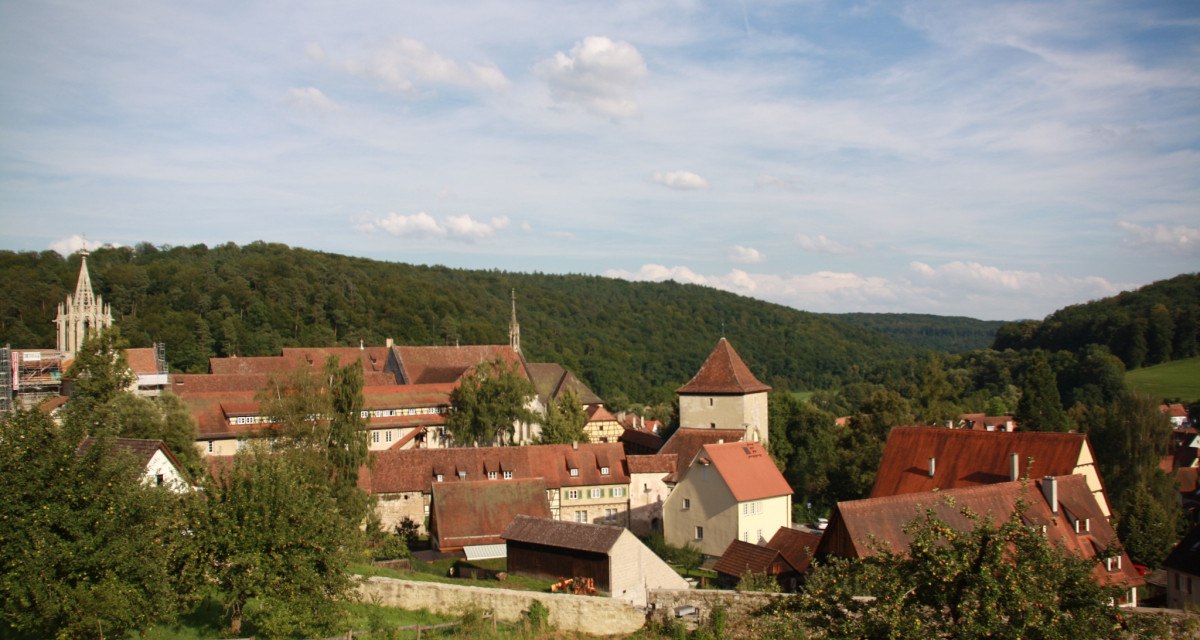Malerische Stadt mit roten Dächern und Kirchturm, umgeben von grünen Hügeln und Bäumen. Der Himmel ist blau mit einigen Wolken., © Natur.Nah. Schönbuch & Heckengäu