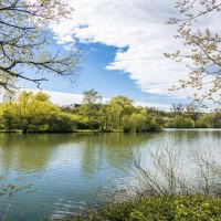 Weitwinkelaufnahme des Beutwangsees in N&uuml;rtingen. Der See ist von gr&uuml;nen B&auml;umen umgeben, der Himmel ist blau mit einigen Wolken., &copy; SMG, Sarah Schmid