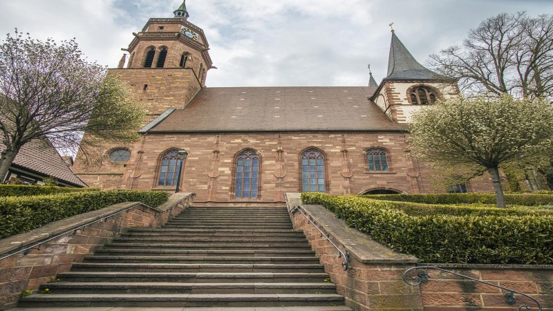 Die St. Peter und Paul Kirche in Weil der Stadt, aufgenommen im Weitwinkel. Eine Treppe führt zur Kirche, umgeben von Bäumen und Sträuchern., © SMG, Sarah Schmid