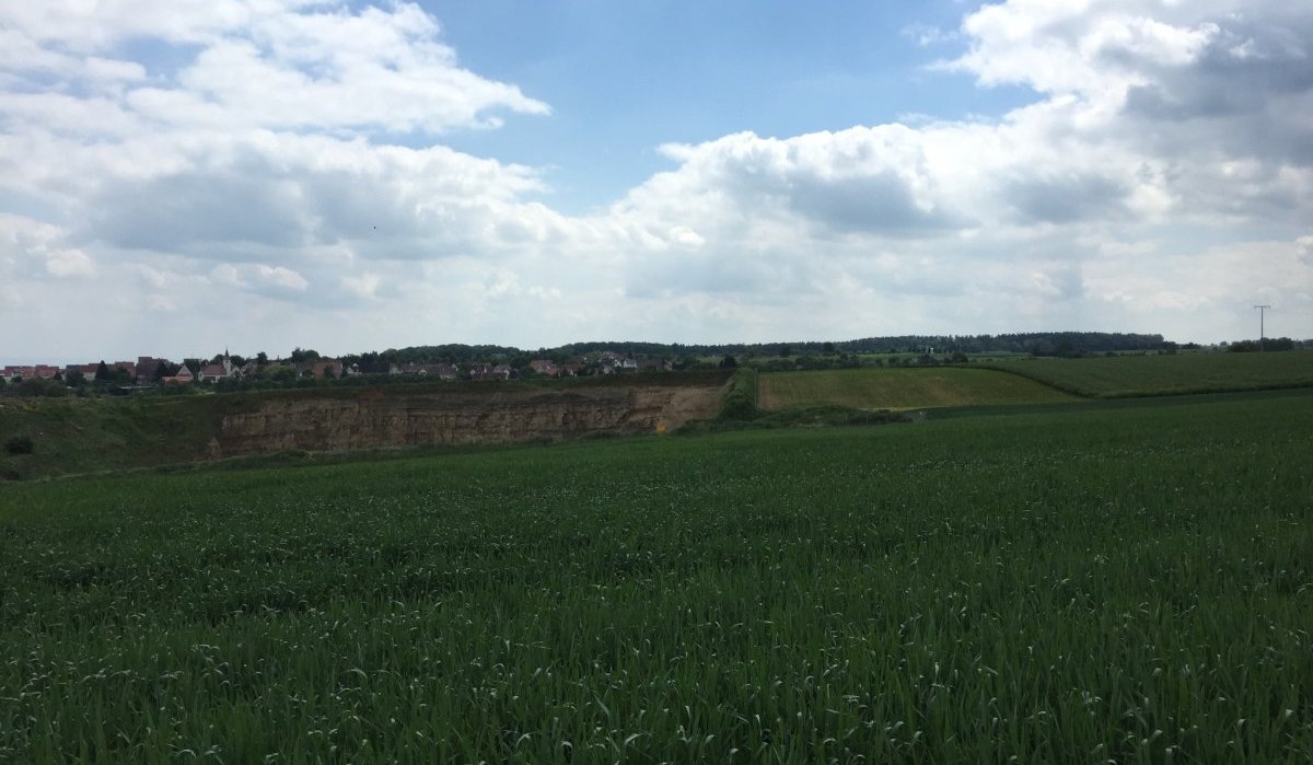 Ein weites gr&uuml;nes Feld mit einem Steinbruch im Hintergrund. Der Himmel ist teils bew&ouml;lkt, und am Horizont sind H&auml;user zu sehen., &copy; Natur.Nah. Sch&ouml;nbuch & Heckeng&auml;u