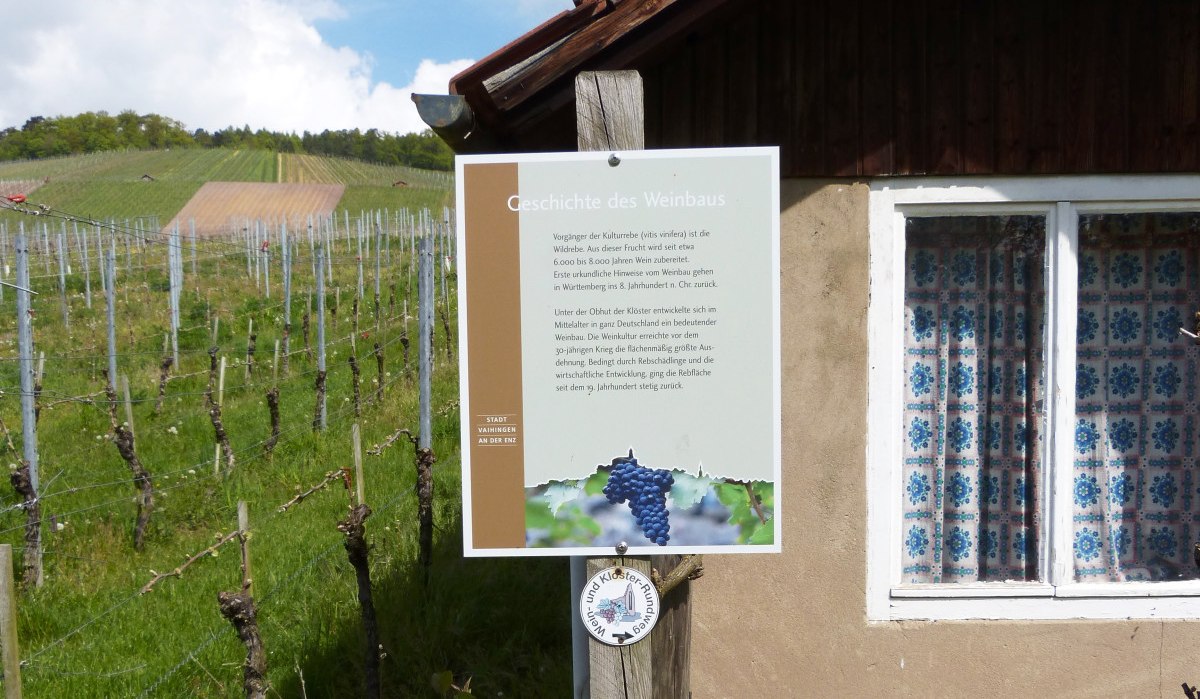 Ein Schild mit Informationen zur Geschichte des Weinbaus steht vor einem Weinberg und einem kleinen Gebäude mit gemusterten Vorhängen., © Land der 1000 Hügel - Kraichgau-Stromberg Ein Schild mit Informationen zur Geschichte des Weinbaus steht vor einem Weinberg und einem kleinen Gebäude mit gemusterten Vorhängen., © Land der 1000 Hügel - Kraichgau-Stromberg
