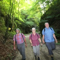 Drei ältere Personen wandern auf einem Waldweg in einer grünen Schlucht. Sie tragen karierte Hemden und Rucksäcke., © Bad Urach Tourismus