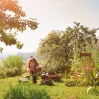 Eine Person mit Hut in einem sonnigen Garten mit Bäumen und hohen Pflanzen im Schwäbischen Wald., © Stuttgart-Marketing GmbH Eine Person mit Hut in einem sonnigen Garten mit Bäumen und hohen Pflanzen im Schwäbischen Wald., © Stuttgart-Marketing GmbH