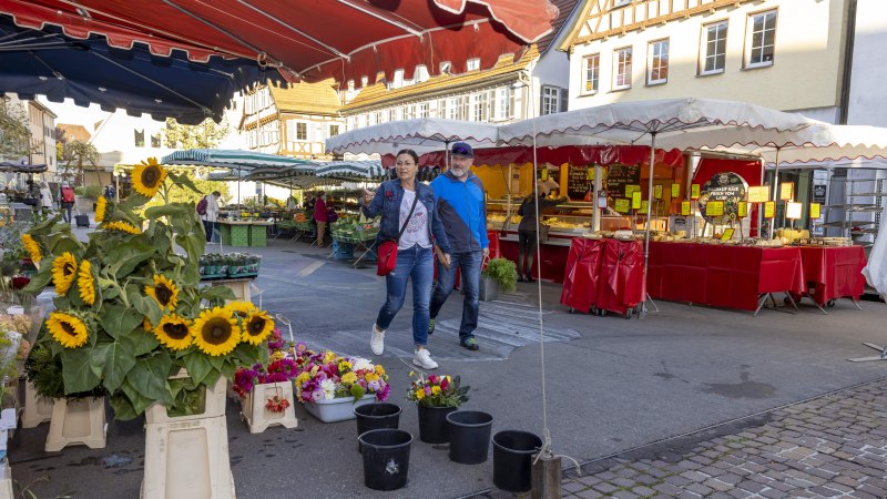 Ein Paar spaziert über einen Markt in Kirchheim unter Teck. Im Vordergrund stehen Sonnenblumen, im Hintergrund sind Marktstände mit roten Planen., © Torsten Wenzler