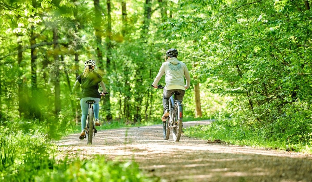 Radweg, Ebnisee, © SWT Radweg, Ebnisee, © SWT