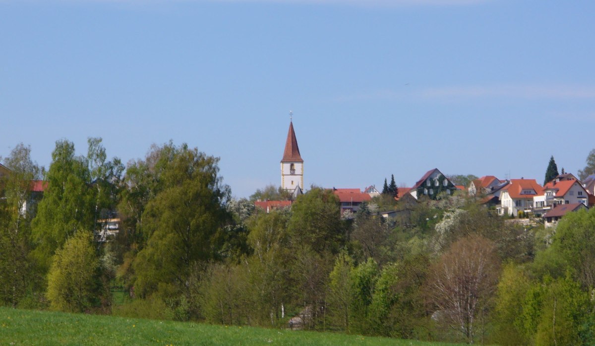 Grüne Landschaft mit Kirchturm der Mauritiuskirche in Holzgerlingen, umgeben von Bäumen und Häusern unter blauem Himmel., © Naturfreunde Holzgerlingen/Altdorf