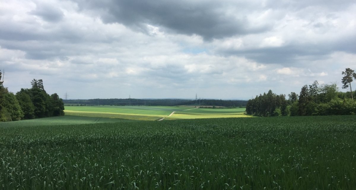 Weite Getreidefelder erstrecken sich unter einem bewölkten Himmel. Im Hintergrund sind Wälder und ein schmaler Weg zu sehen., © www.pro-cycl.de Weite Getreidefelder erstrecken sich unter einem bewölkten Himmel. Im Hintergrund sind Wälder und ein schmaler Weg zu sehen., © www.pro-cycl.de