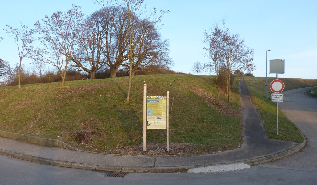 Ein Weg führt zu einem Hügel mit Bäumen. Ein Schild informiert über das Naturdenkmal „Drei Linden“ in Schafhausen., © Natur.Nah. Schönbuch & Heckengäu