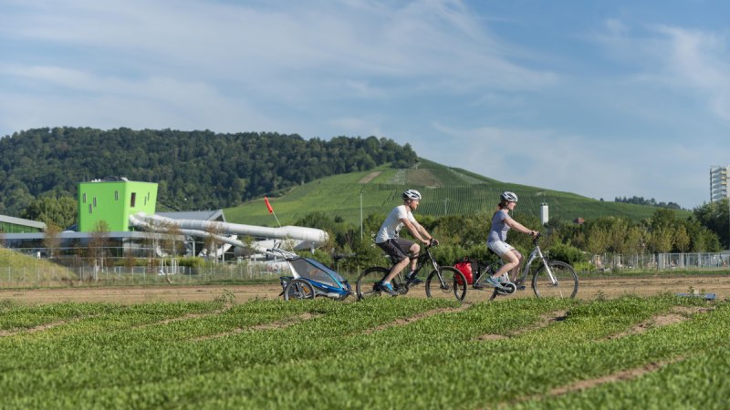 Zwei Radfahrer mit Anhänger fahren durch eine grüne Landschaft in Fellbach. Im Hintergrund sind Hügel und ein modernes Gebäude zu sehen., © Stadt Fellbach