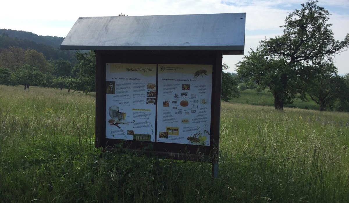 Ein Informationsschild am Bienenlehrpfad steht in einer grünen Wiese, umgeben von Bäumen und Hügeln im Hintergrund., © www.pro-cycl.de Ein Informationsschild am Bienenlehrpfad steht in einer grünen Wiese, umgeben von Bäumen und Hügeln im Hintergrund., © www.pro-cycl.de