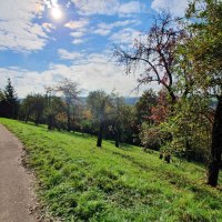 Panoramaroute herbst, © Kulturamt PLochingen