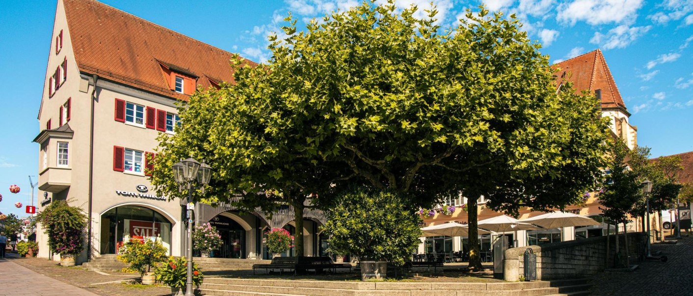 Der Marktplatz in Bietigheim-Bissingen zeigt einen großen Baum im Zentrum, umgeben von historischen Gebäuden und Geschäften unter blauem Himmel., © Stuttgart-Marketing GmbH, Sarah Schmid