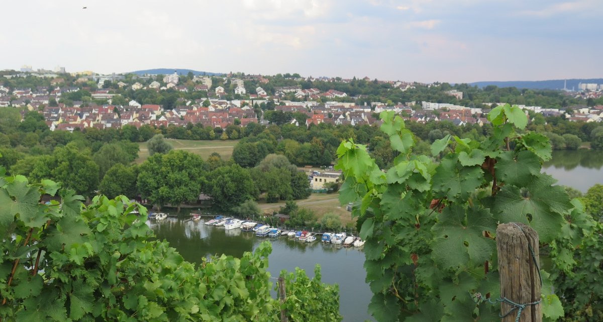 Weinreben im Vordergrund, dahinter der Max-Eyth-See mit Booten. Im Hintergrund eine Wohnsiedlung und bewaldete Hügel., © Stuttgart-Marketing GmbH Weinreben im Vordergrund, dahinter der Max-Eyth-See mit Booten. Im Hintergrund eine Wohnsiedlung und bewaldete Hügel., © Stuttgart-Marketing GmbH